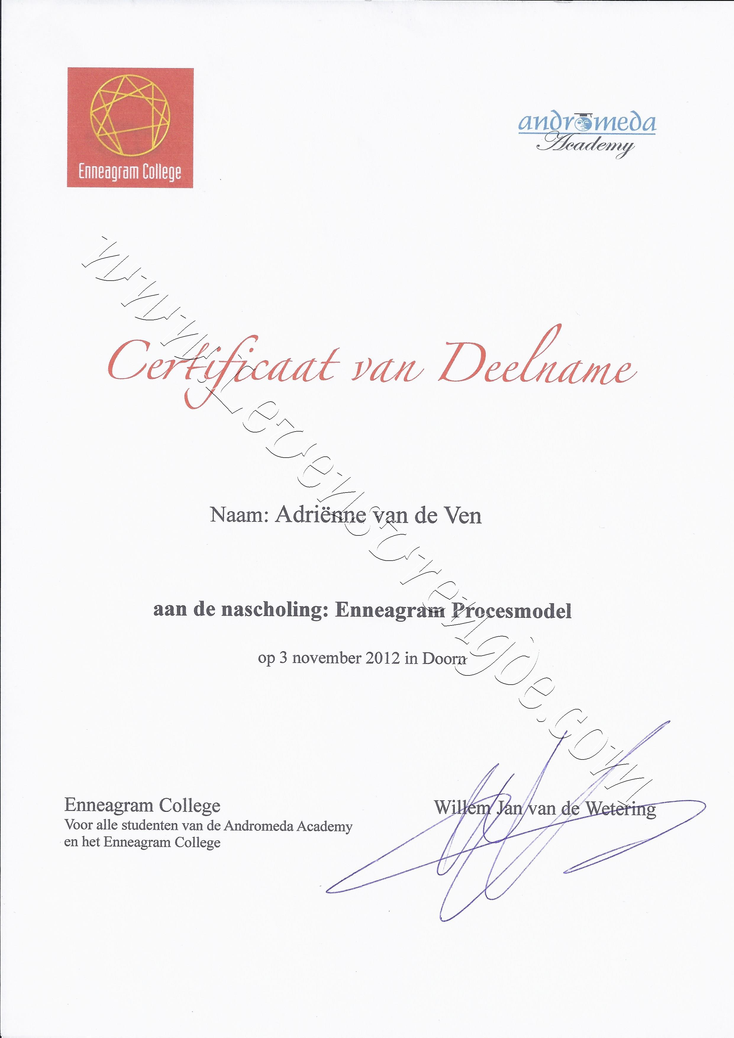 Nascholing Enneagram Procesmodel